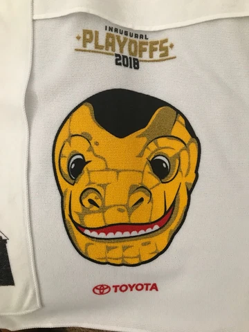 Vegas Golden Knights vs Jets Playoff Towel Chance Western Conference Finals Cover