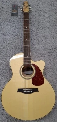 Mini Jumbo Corte Gaviota Performer Alto Brillo QIT Acústico Eléctrico Foto 1 de 4