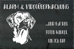 RHODESIAN RIDGEBACK Hundewarnschild Hundeschild Warnschild SCHIEFER NEU #72 - Bild 1 von 3