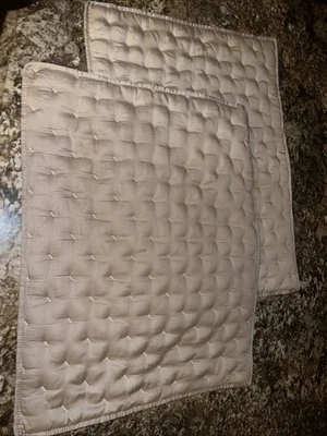 (2) Funda acolchada crema Southern Living STANDARD reliquia 20x26" Foto 1 de 4