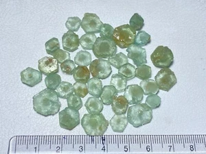 Feine natürliche grüne Aquamarin Trapiche Kristalle 98 Karat SI Reinheit - Bild 1 von 5