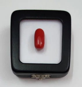 Italia Coral Cabujón Piedras Preciosas Coral Rojo Suelto Sin Teñir Cabujón 100% Coral Natural - Imagen 1 de 9