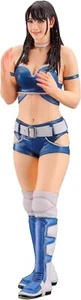 Kit de resina sin pintar de luchadoras niñas colección real n.º30 usado SP557 - Imagen 1 de 3