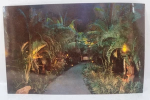 1960's Vintage Postcard TIKI GARDENS AT THE WAIKIKIAN HOTEL Hawaii US - Bild 1 von 2