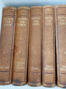 Brehms Tierleben von 1953 Rarität - Bild 1 von 4