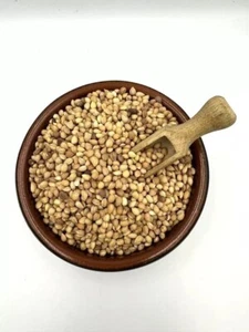 Mahaleb Prunus Cherry Mahleb Seed Mahlepi Whole Mahlep Mahlab محلب - Picture 1 of 1