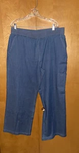 D&Co Brand Blue Elastic Waist Straight Leg Pants Women's Plus Size XL - Picture 1 of 6
