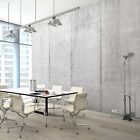 Adults living room Office Photo Wallpaper Wall Mural Grey Concrete Imitation