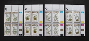 SOUTH AFRICA VENDA - 1985 SCARCE FERNS SET IN PLATE CORNER MNH BLK4 RR - Picture 1 of 2