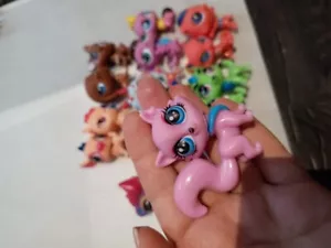 Collection little pet shop - Picture 1 of 3