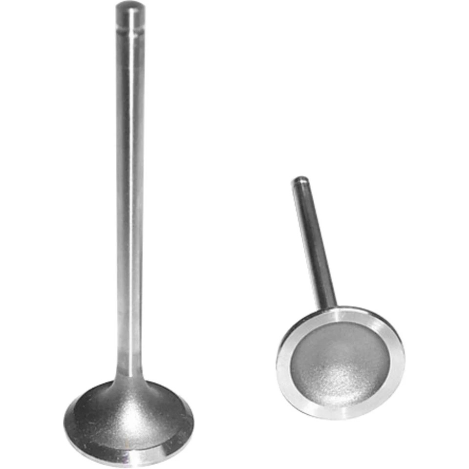 Válvula de escape EV329 DNJ para camioneta Chevy S10 Chevrolet S-10 GMC Sonoma Cavalier Foto 1 de 1