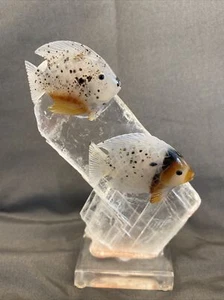 Hermosa exhibición de peces de ágata musgo Montana - Imagen 1 de 9