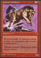 Canyon Wildcat X4 (Tempest) MTG (LP) *CCGHouse* Magic