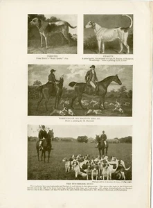 HARRIER / FOXHOUND ANTIK 1906 SEPIA SEITE HUNDEDRUCK VERSCHIEDENE BILDER - Bild 1 von 1