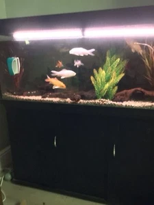 Large Fish Tank Aquarium Complete Set-Up - Picture 1 of 4
