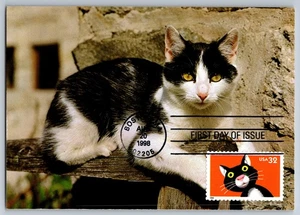 #3232 Bright Eyes Cat FDC Maxi Card - Picture 1 of 2