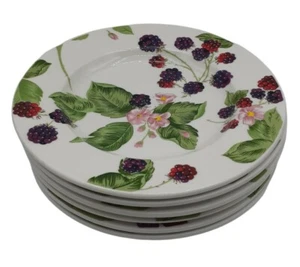 6 Shallow Bowls Raspberry Social Tienshan Stoneware 8" Sauce Dessert Salad Plate - Picture 1 of 9