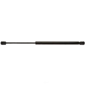 Back Glass Lift Support Strong Arm 4650