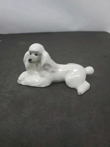 Estatuilla de perro caniche blanco de porcelana Lomonosov de colección acostado relajado 4,75" - Imagen 1 de 6