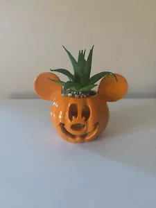 Mickey Halloween Kürbis Sukkulentenlicht. NEU - Bild 1 von 7