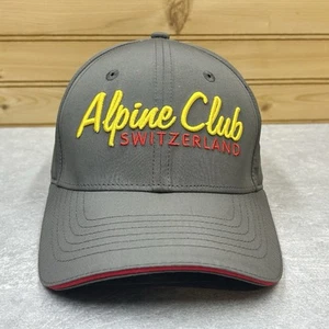 Alpine Club Switzerland Hat Ball Cap ONE SIZE Adjustable Gray Raised 3D Logo - Picture 1 of 10