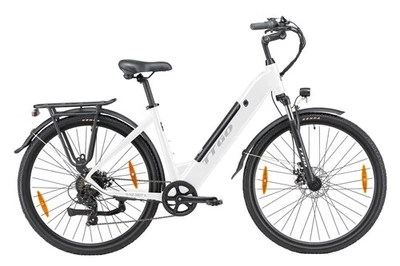 TTGO ZZ-28ST Ektrofahrrad herren 28 Zoll Commuter City E-Bike 36V 20AH 25KM/H
