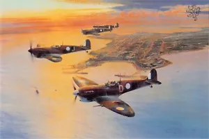 Robert Taylor SPITFIRES OVER DARWIN SIN RESERVA AGOTADO 4 firmas - Imagen 1 de 1