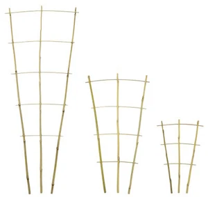 Tubo di bambù griglia per rampicanti supporto per rampicanti piante rampicanti pomodori rose traliccio - Foto 1 di 10