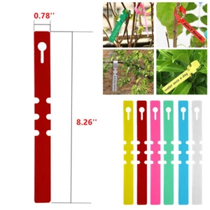 100 piezas etiquetas para plantas etiquetas envolventes marcadores etiquetas ajustables para vivero jardín - Imagen 1 de 22