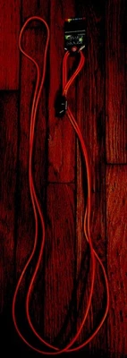 GLOWNDARK Tyoe C Charger 10 Foot Charging Cable Glow In The Dark Orange In Color - Image 1 of 2