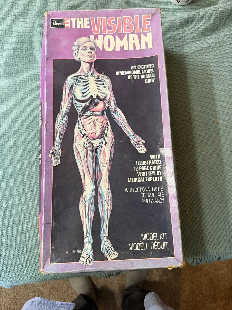 【未開封】Revell THE VISIBLE WOMAN 女性人体模型 ③ 未開封】Revell THE VISIBLE WOMAN 女性人体模型 ③ Revell THE