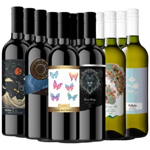 12x Mixed Red White Wine 750ml 2022 SA Shiraz Pinot Grigio -2T2A2B2LK2E2F - Picture 1 of 7
