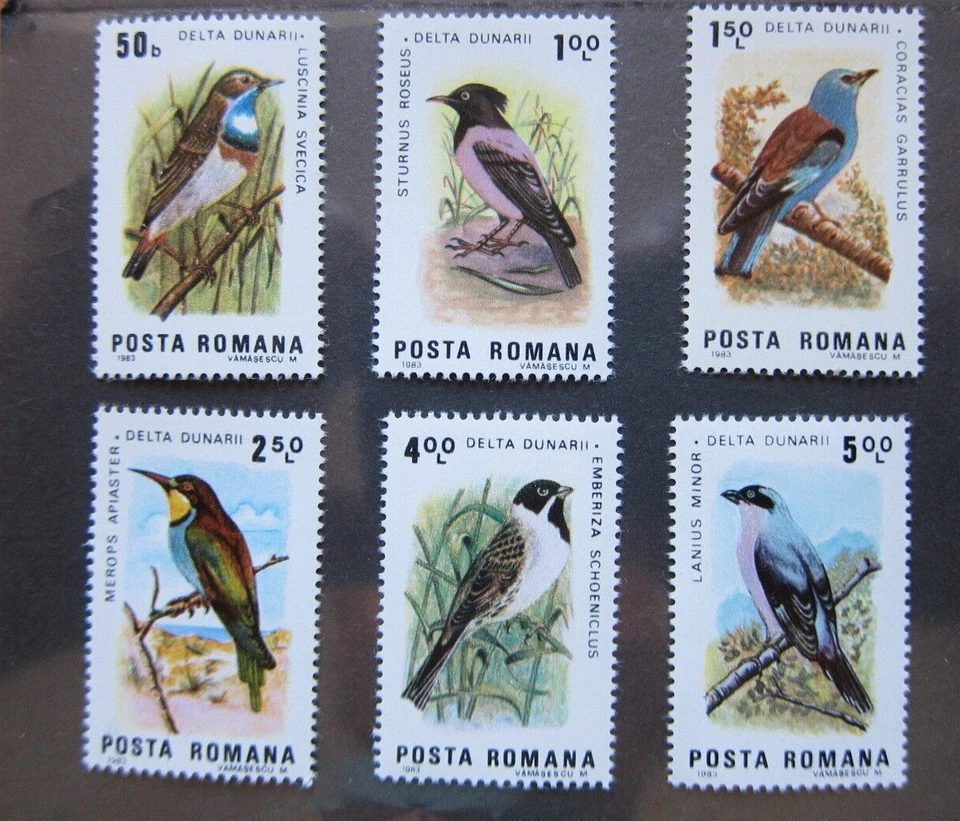 Romania, #3138-43 Birds set 1983, 6v, MNH - Image 1 of 1