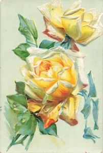 Postcard Yellow Rose - Picture 1 of 2