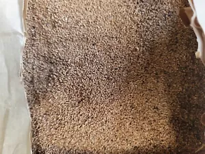 Walnut Shell Tumbler and Blast Media 12/20 Medium Grit Size 50 POUND Bag! - Picture 1 of 5