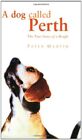 A Dog Called Perth: The True Story of a Beagle-Peter Martin, 9780752844763