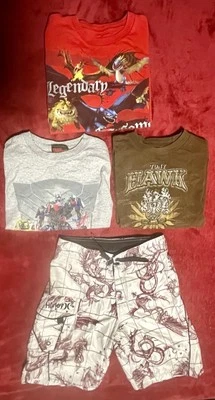 Lote Talla 7 Niños Hurley Board Shorts, Tony Hawk, Transformers y Talla 8 Train Dragon T Foto 1 de 4