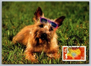 #3997k Chinese Lunar New Year Dog FDC Maxi Card - Picture 1 of 2