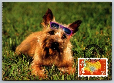 #3997k Chinese Lunar New Year Dog FDC Maxi Card - Image 1 of 2