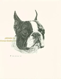 #57 BOSTON TERRIER *  dog art print * Pen & ink drawing * Jan Jellins - Picture 1 of 9