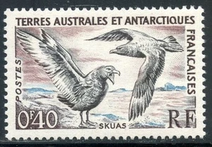 TIMBRE T.A.A.F. / TERRES AUSTRALES NEUF N° 13 ** SKUAS - Photo 1/1