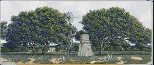 Texas Treasures Print - George Boutwell - Picture 1 of 1