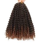 Passion Twist Crochet Braids Water Wave Hair Extensions (6Packs, 12Inch, T30#)