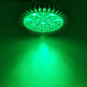 36W 520nm~525nm PAR38 Green LED Lamp Spot Light Bulb Therapy Plant Aquarium - Picture 1 of 8