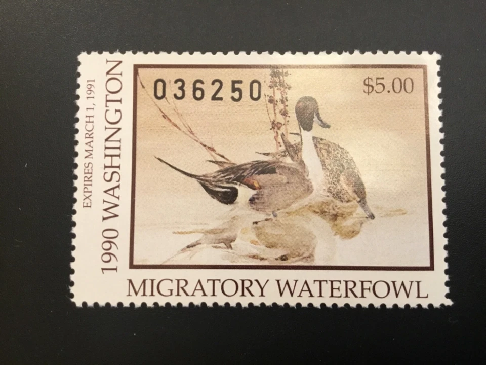 ICOLLECTZONE US 1990 #5 Washington Duck Stamp VF NH  - Image 1 of 1