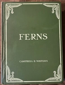 Farne von Campbell E. Waters - 1903 1. Auflage HC Botanik Handbuch - selten! TOP KOPIE - Bild 1 von 18
