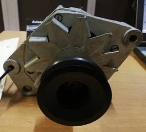 Alternatore 12V marca Magneti Marelli 943356217 revisionato - Imagen 1 de 3