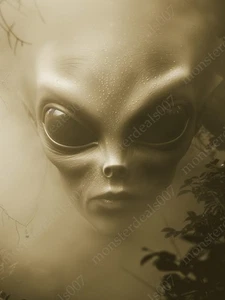 Alien Grau Kunstdruck Sci Fi Außerirdische Fantasy Wanddeko UFO Poster - Bild 1 von 1