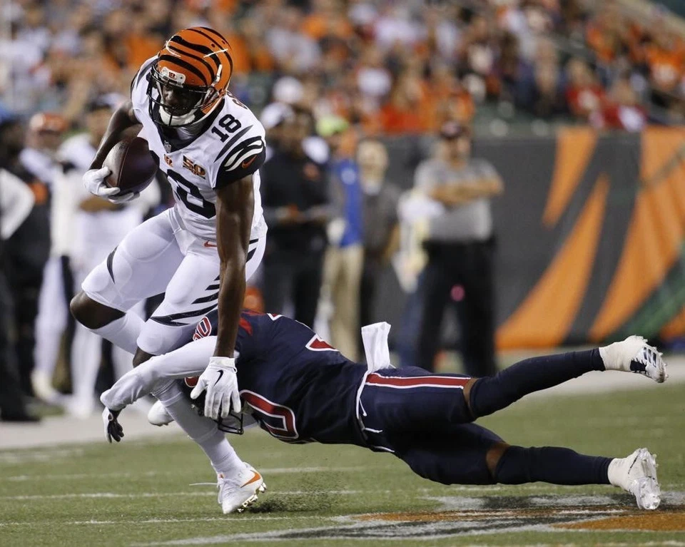 A.J. FOTO VERDE 8X10 IMAGEN DE LOS CINCINNATI BENGALS ACCIÓN FUTBOLÍSTICA NFL Foto 1 de 1