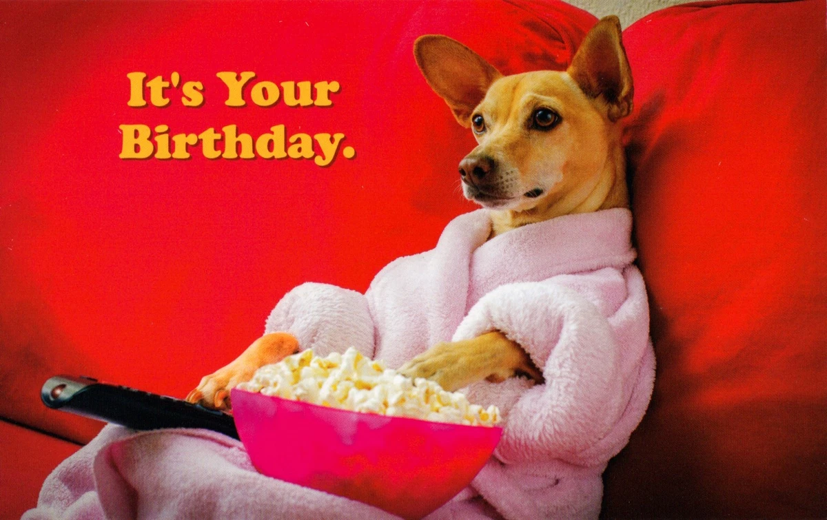 Perro De Los Valeintines Del Feliz Cumpleaños Foto de archivo - Imagen de  tarjeta, fresco: 152632558, image size:1200x755